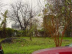 album7003012.jpg